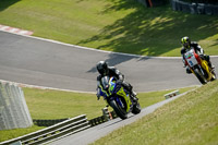 brands-hatch-photographs;brands-no-limits-trackday;cadwell-trackday-photographs;enduro-digital-images;event-digital-images;eventdigitalimages;no-limits-trackdays;peter-wileman-photography;racing-digital-images;trackday-digital-images;trackday-photos